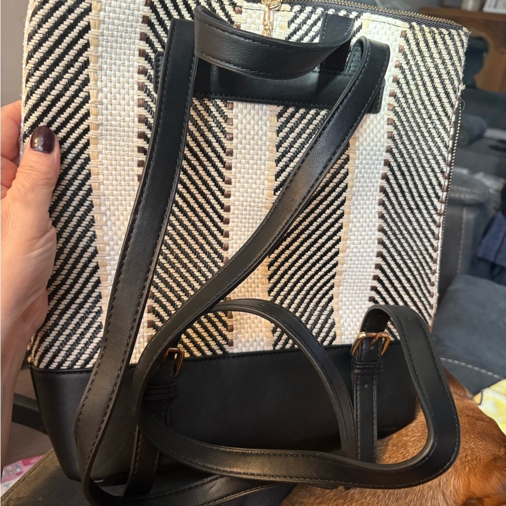 Moda Luxe Chevron Patterned backpack - Picture 2 of 6